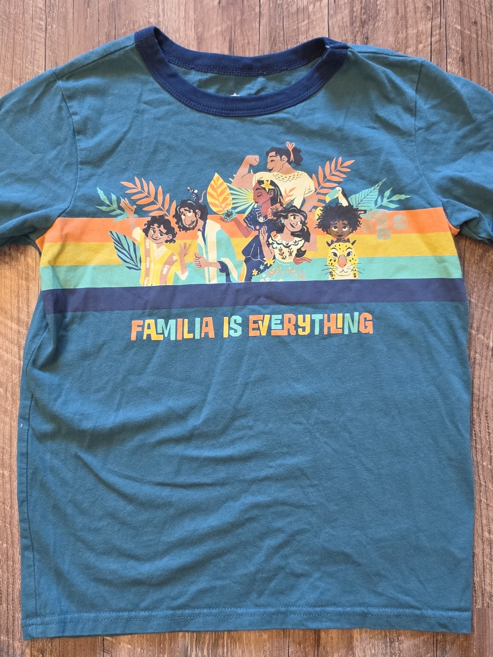Disney Teal 'Familia Is Everything' Graphic Tee with Colorful Stripes